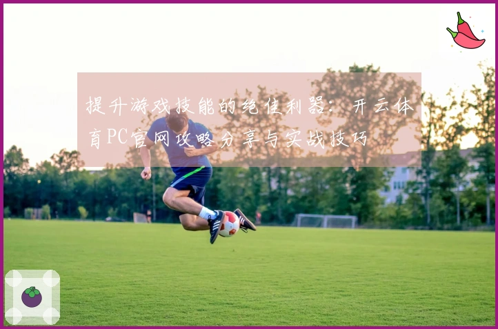 提升游戏技能的绝佳利器：开云体育PC官网攻略分享与实战技巧