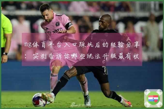 ng体育平台入口踩坑后的经验分享：实测告诉你哪些玩法升级最有收益