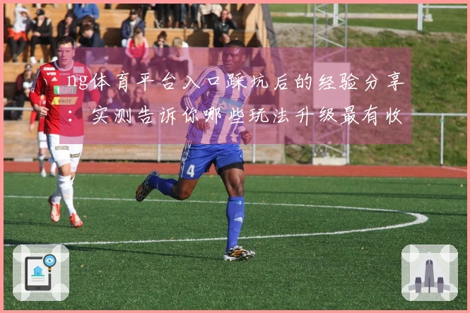 ng体育平台入口踩坑后的经验分享：实测告诉你哪些玩法升级最有收益